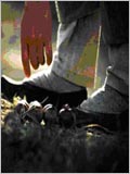film coréen : Pourquoi Bodhi Dharma est-il parti vers l’Orient ?